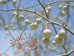 annual reports image